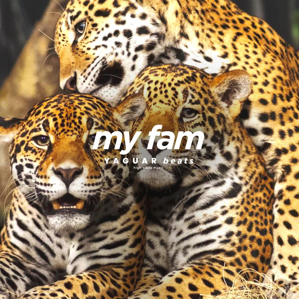 MY FAM cover art