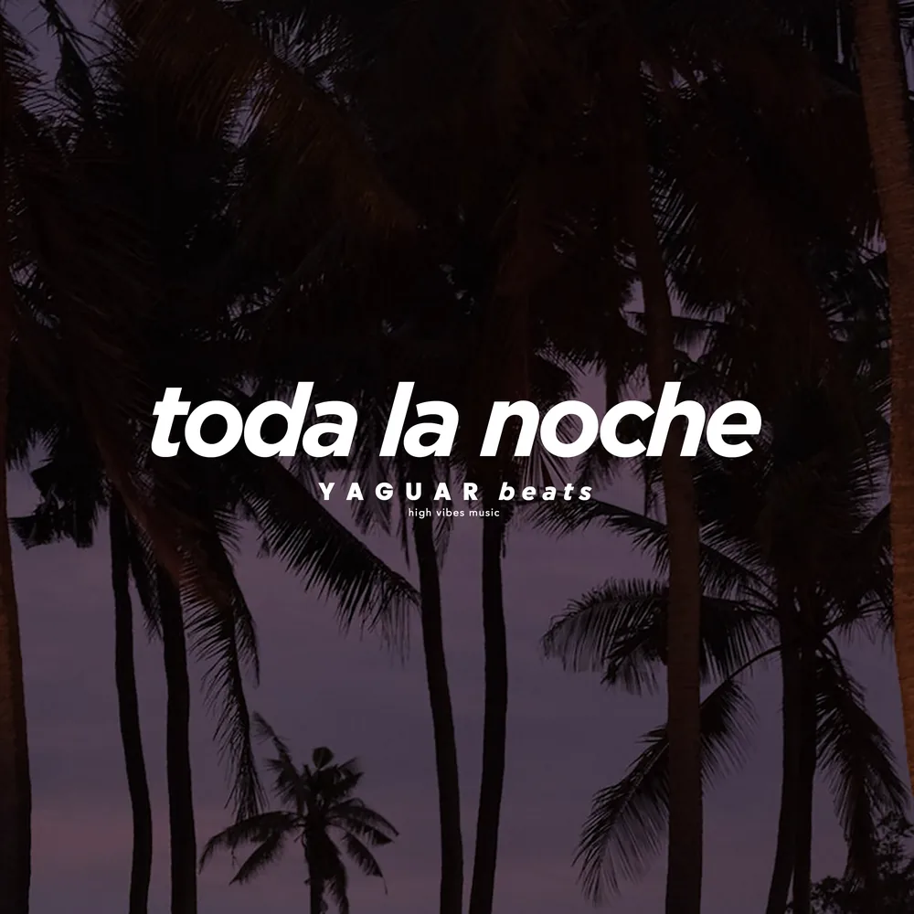 TODA LA NOCHE cover art