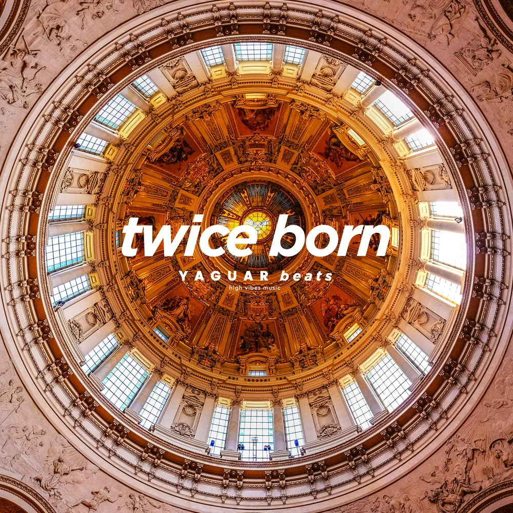 TWICE BORN cover art